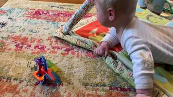 Free download 2020.03.25 learning to crawl video and edit with RedcoolMedia movie maker MovieStudio video editor online and AudioStudio audio editor onlin