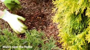 Free download 2020.08_Video 1 | WPC Services | Pest Control | Bee Removal | Wasp Removal | Hopkinton MA video and edit with RedcoolMedia movie maker MovieStudio video editor online and AudioStudio audio editor onlin