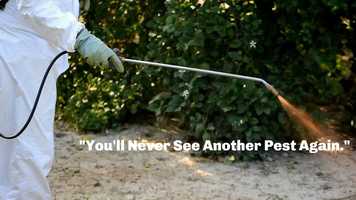 Free download 2020.09_Video 1 | WPC Services | Pest Control | Bee Removal | Wasp Removal | Hopkinton MA video and edit with RedcoolMedia movie maker MovieStudio video editor online and AudioStudio audio editor onlin