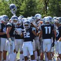 Free download 2020 DOG Football video and edit with RedcoolMedia movie maker MovieStudio video editor online and AudioStudio audio editor onlin