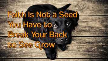 Free download 2020 GOT Part 3 Opener video and edit with RedcoolMedia movie maker MovieStudio video editor online and AudioStudio audio editor onlin