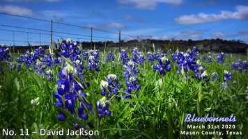 Free download 2020 HCCC OJC2_no Music video and edit with RedcoolMedia movie maker MovieStudio video editor online and AudioStudio audio editor onlin