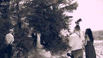 Free download 2020 Mitten Films video and edit with RedcoolMedia movie maker MovieStudio video editor online and AudioStudio audio editor onlin