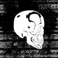 Free download 2020 Promo Reel video and edit with RedcoolMedia movie maker MovieStudio video editor online and AudioStudio audio editor onlin