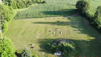 Free download 2020 Sullivan Show video and edit with RedcoolMedia movie maker MovieStudio video editor online and AudioStudio audio editor onlin