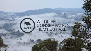 Free download 2020 WCFF Trailer video and edit with RedcoolMedia movie maker MovieStudio video editor online and AudioStudio audio editor onlin