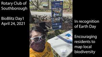 Free download 2021-04-24 BioBlitz Day-Rotary Club of Southborough video and edit with RedcoolMedia movie maker MovieStudio video editor online and AudioStudio audio editor onlin