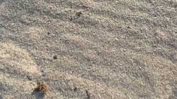 Free download 20210430 Key Biscane 6h37pm Walk 6245.mov video and edit with RedcoolMedia movie maker MovieStudio video editor online and AudioStudio audio editor onlin