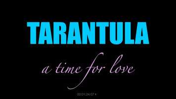 Free download 20210601_Tarantula_V4_NoMusic video and edit with RedcoolMedia movie maker MovieStudio video editor online and AudioStudio audio editor onlin