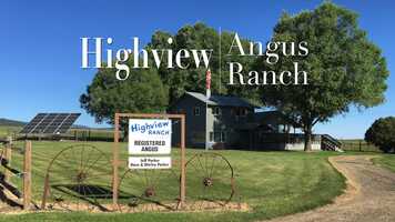 Free download 2021 Breeding registered Angus cow herd at Highview Angus Ranch video and edit with RedcoolMedia movie maker MovieStudio video editor online and AudioStudio audio editor onlin