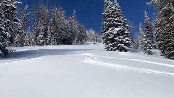 Free download 2021 Wyoming with Charlie_v42_Trailer video and edit with RedcoolMedia movie maker MovieStudio video editor online and AudioStudio audio editor onlin