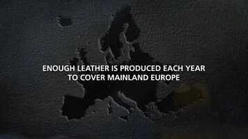 Free download 20585_ELeather brand film_final.mp4 video and edit with RedcoolMedia movie maker MovieStudio video editor online and AudioStudio audio editor onlin