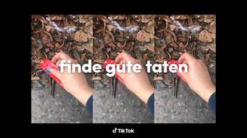 Free download 210305_TikTok_Film_01_15_WEB video and edit with RedcoolMedia movie maker MovieStudio video editor online and AudioStudio audio editor onlin