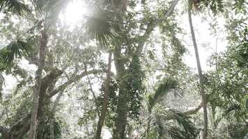 Free download 24-04 F y V The Reef Trailer HD video and edit with RedcoolMedia movie maker MovieStudio video editor online and AudioStudio audio editor onlin