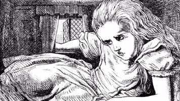 Free download 24:24 PT⚡️ROOTCAT⚡️DAILY DANK VIDEO MEME⚡️2020⚡️07 31 video and edit with RedcoolMedia movie maker MovieStudio video editor online and AudioStudio audio editor onlin