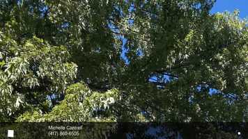 Free download 25009 Farm Road 2265 Golden, MO 65658 video and edit with RedcoolMedia movie maker MovieStudio video editor online and AudioStudio audio editor onlin