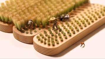 Free download 2:53 | TODAY | ROOTCAT DAILY DANK VIDEO MEME 2021 video and edit with RedcoolMedia movie maker MovieStudio video editor online and AudioStudio audio editor onlin