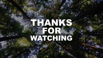 Free download 2D Cartoon Lyric Titles Motion Graphics Templates video and edit with RedcoolMedia movie maker MovieStudio video editor online and AudioStudio audio editor onlin