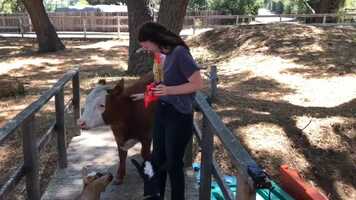 Free download 2 Timothy 3:16 Esther and Daisy video and edit with RedcoolMedia movie maker MovieStudio video editor online and AudioStudio audio editor onlin