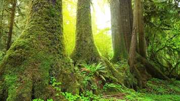 Free download 30 Minute Relaxing Sleep Music, 28-05-2021.mp4 video and edit with RedcoolMedia movie maker MovieStudio video editor online and AudioStudio audio editor onlin