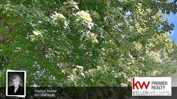 Free download 31155 Olinda Trail Lindstrom, MN 55045 video and edit with RedcoolMedia movie maker MovieStudio video editor online and AudioStudio audio editor onlin