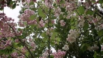 Free download 327 CUADERNOS (2015) Trailer video and edit with RedcoolMedia movie maker MovieStudio video editor online and AudioStudio audio editor onlin