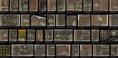 Free download 3366 Whats the Voynich Manuscript? See the World through a Black Cats Eyes  Soul. Human Coauthor video and edit with RedcoolMedia movie maker MovieStudio video editor online and AudioStudio audio editor onlin