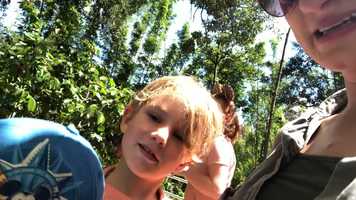 Free download 336. Logans Special Day with Mommy at Disneys Animal Kingdom video and edit with RedcoolMedia movie maker MovieStudio video editor online and AudioStudio audio editor onlin