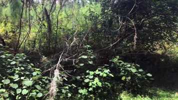 Free download 374. Surprise Disney Trip!   Even Mom Didnt Know! video and edit with RedcoolMedia movie maker MovieStudio video editor online and AudioStudio audio editor onlin