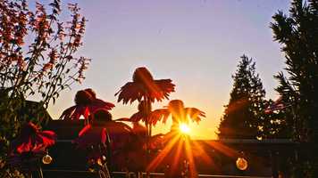 Free download 3805 West Parkmont Place, Seattle, WA, USA - HD Cinema with Neighborhood video and edit with RedcoolMedia movie maker MovieStudio video editor online and AudioStudio audio editor onlin