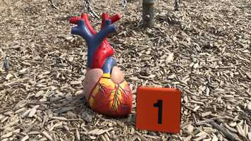 Free download 3A Cardiovascular Intro video and edit with RedcoolMedia movie maker MovieStudio video editor online and AudioStudio audio editor onlin