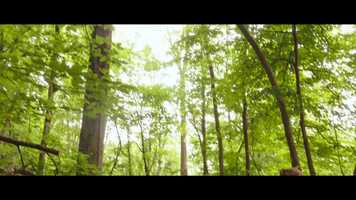 Free download 3 Bears Christmas_Trailer_PictureWorks video and edit with RedcoolMedia movie maker MovieStudio video editor online and AudioStudio audio editor onlin