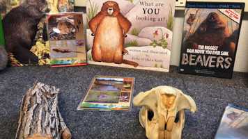 Free download 3c5 Beaver Intro ADD video and edit with RedcoolMedia movie maker MovieStudio video editor online and AudioStudio audio editor onlin