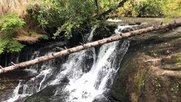 Free download 3c7 Alsea Falls (no voice, water sounds) video and edit with RedcoolMedia MovieStudio video editor online and AudioStudio audio editor onlin