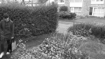 Free download 3 Elements video and edit with RedcoolMedia movie maker MovieStudio video editor online and AudioStudio audio editor onlin