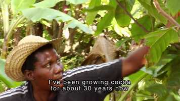 Free download 3. Nothing Like Chocolate Trailer.mp4 video and edit with RedcoolMedia movie maker MovieStudio video editor online and AudioStudio audio editor onlin