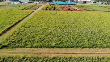 Free download 4-128 | #1 Full-Spectrum CBD Madison Wisconsin Manufacturing, Isolate | Factory6 CBD: MO MS MN MI MA MD ME | video and edit with RedcoolMedia movie maker MovieStudio video editor online and AudioStudio audio editor onlin