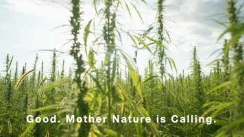 Free download 4-147 | Top Full-Spectrum CBD Indianapolis Indiana Manufacturing, Gummies | Factory6 CBD: UT TX TN SD SC RI PA | video and edit with RedcoolMedia movie maker MovieStudio video editor online and AudioStudio audio editor onlin