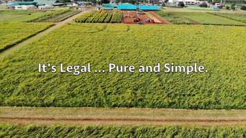 Free download 4-168 | #1 Full-Spectrum CBD Garland, TX Manufacturing, Isolate | Factory6 CBD: IN IL ID HI GA FL DC | video and edit with RedcoolMedia movie maker MovieStudio video editor online and AudioStudio audio editor onlin