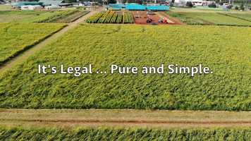 Free download 4-188 | #1 Full-Spectrum CBD Denver Colorado Manufacturing, Isolate | Factory6 CBD: ND NC NY NM NJ NH NV | video and edit with RedcoolMedia movie maker MovieStudio video editor online and AudioStudio audio editor onlin