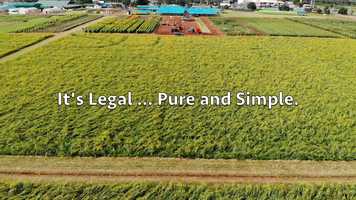 Free download 4-228 | #1 Full-Spectrum CBD Bismarck North Dakota Manufacturing, Isolate | Factory6 CBD: MN MI MA MD ME LA KY | video and edit with RedcoolMedia movie maker MovieStudio video editor online and AudioStudio audio editor onlin