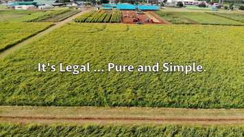 Free download 4-248 | #1 Full-Spectrum CBD Abilene, TX Manufacturing, Isolate | Factory6 CBD: TX TN SD SC RI PA OR | video and edit with RedcoolMedia movie maker MovieStudio video editor online and AudioStudio audio editor onlin