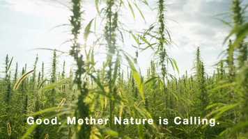 Free download 4-327 | Top Full-Spectrum CBD Chula Vista, California Manufacturing, Gummies | Factory6 CBD: MD ME LA KY KS IA IN | video and edit with RedcoolMedia movie maker MovieStudio video editor online and AudioStudio audio editor onlin