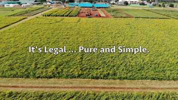 Free download 4-328 | #1 Full-Spectrum CBD Chicago, Illinois Manufacturing, Isolate | Factory6 CBD: MA MD ME LA KY KS IA | video and edit with RedcoolMedia movie maker MovieStudio video editor online and AudioStudio audio editor onlin