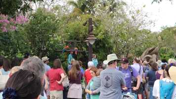 Free download 488. Our Girl Cadies First Trip to Animal Kingdom   Walt Disney World, Orlando, Florida video and edit with RedcoolMedia movie maker MovieStudio video editor online and AudioStudio audio editor onlin