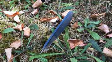 Free download 4c4 Feather ID video and edit with RedcoolMedia movie maker MovieStudio video editor online and AudioStudio audio editor onlin