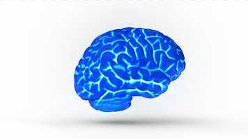 Free download 4K Isolated Human Brain Glowing Xray Concept video and edit with RedcoolMedia movie maker MovieStudio video editor online and AudioStudio audio editor onlin