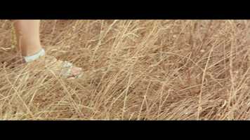 Free download 4K - Trailer We are getting married, we are running away video and edit with RedcoolMedia movie maker MovieStudio video editor online and AudioStudio audio editor onlin