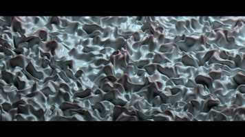 Free download #4 ROSEFLAG video and edit with RedcoolMedia movie maker MovieStudio video editor online and AudioStudio audio editor onlin