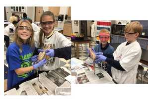 Free download 4th grade Squid Dissection video and edit with RedcoolMedia movie maker MovieStudio video editor online and AudioStudio audio editor onlin